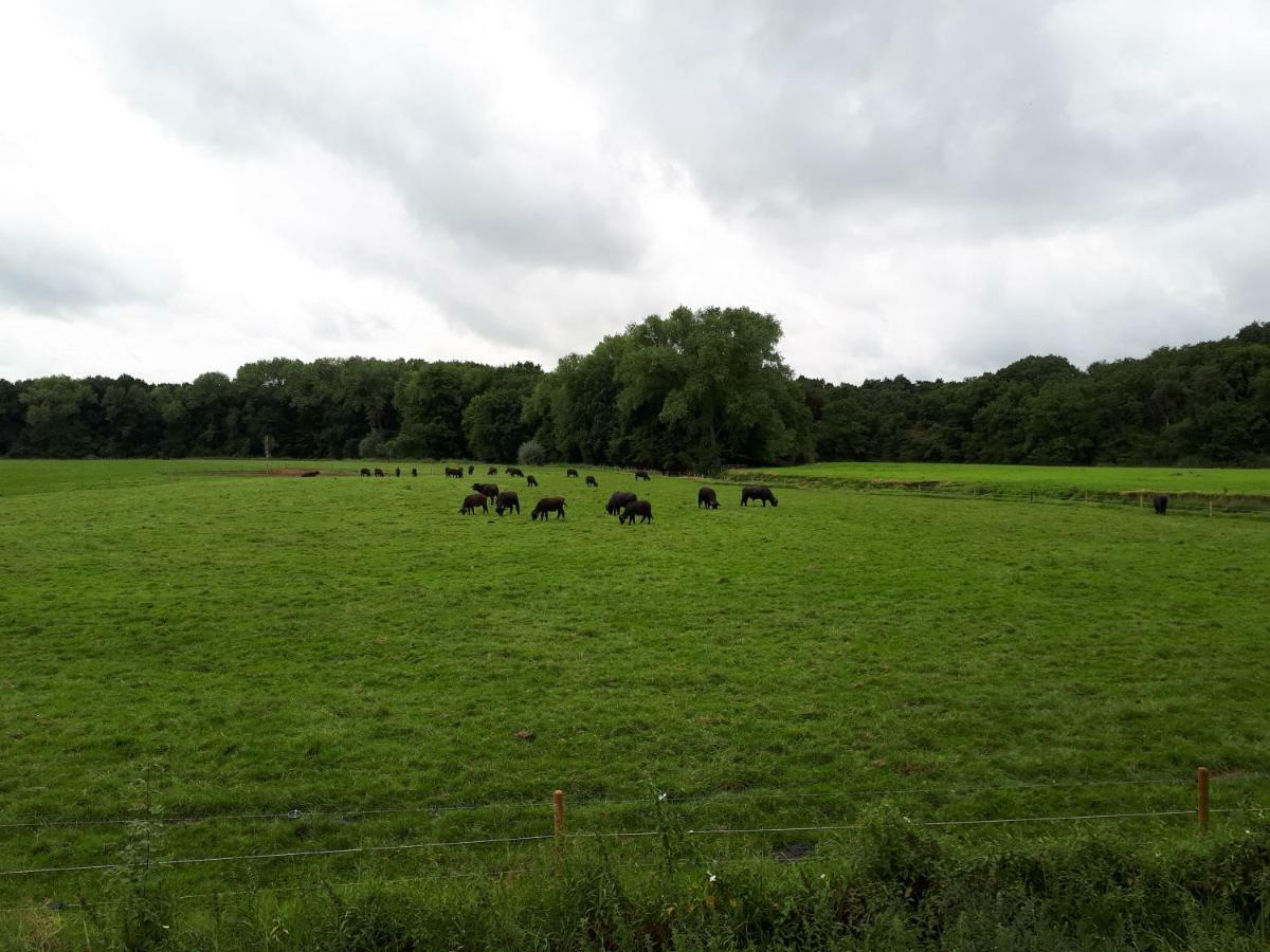 Gastenverblijf 'T Nagtegaeltje Sint-Oedenrode Exterior foto